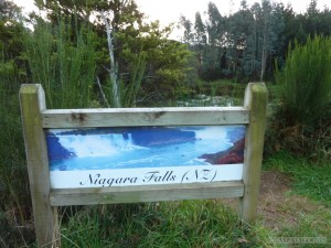 NZ South Island - Niagra Falls sign