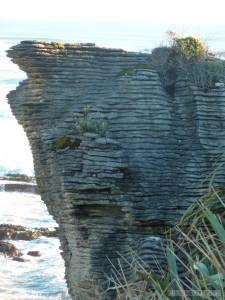 NZ South Island - Punakaiki pancake rocks