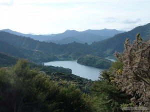 NZ South Island - Queen Charlotte Track 1