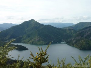 NZ South Island - Queen Charlotte Track 2