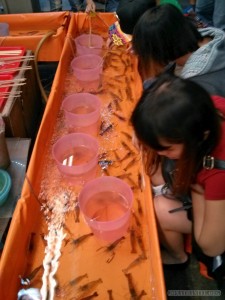 Night Market - shrimp scooping