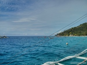 Oslob - swimming with whale sharks 1