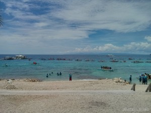 Oslob - swimming with whale sharks 2