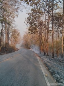 Pai to Pang Mapha - road with fires