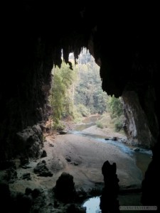 Pang Mapha - Lod Cave bat sparrow exit