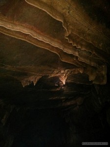 Pang Mapha - caving trip fossil cave bat