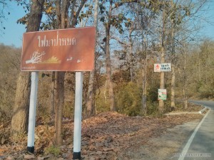 Pang Mapha to Mae Hong Son - fallen trees fires and deer