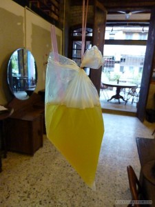 Penang - crysanthemum tea in a bag