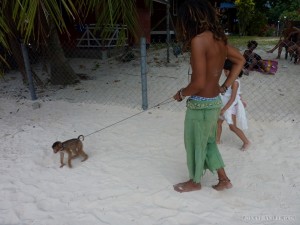 Perhentian Islands - walking a monkey