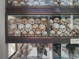 Phnom Penh - Choeung Ek skulls 1