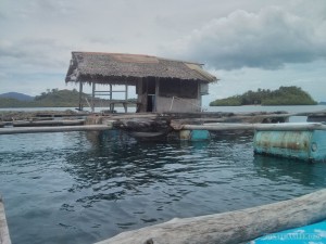 Port Barton - floating fish farm