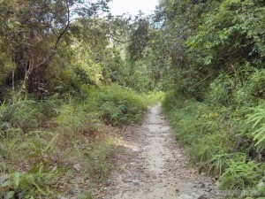 Port Barton - hike to waterfall