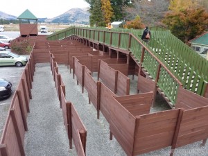 Queenstown - Puzzling World maze 2