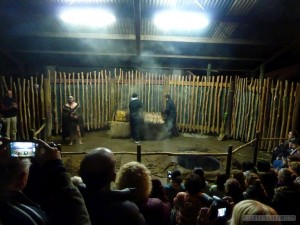 Rotorua - Mauri village cooking