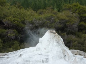 Rotorua - Wai o Tapu Lady Knox 2