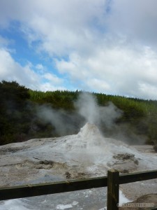 Rotorua - Wai o Tapu Lady Knox 3