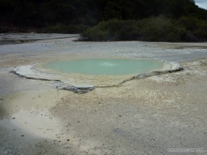 Rotorua - Wai o Tapu Oyster Pool