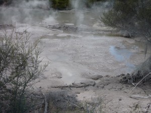 Rotorua - Wai o Tapu mud pools