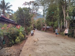 Sabang - inland road
