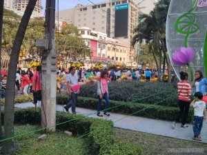 Saigon during Tet - flower street crowd 3