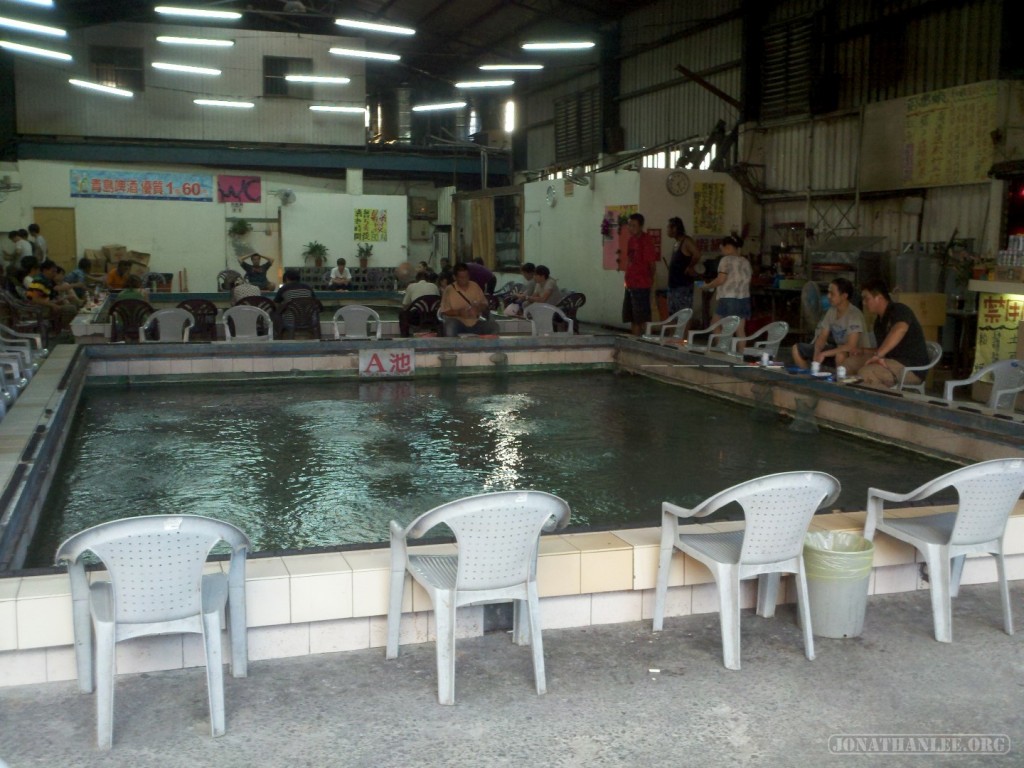 Shrimp fishing - pool