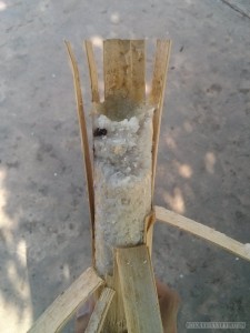 Siem Reap - rice in bamboo