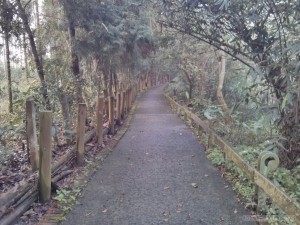 Sun Moon Lake - Yetan bikeway 1