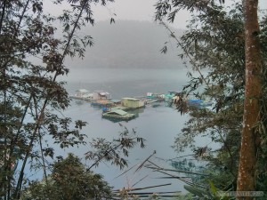 Sun Moon Lake - scenery floating home