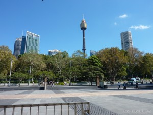 Sydney - Sydney Eye Tower