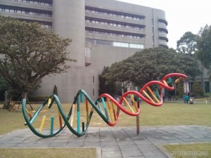 Museum of Natural History DNA statue