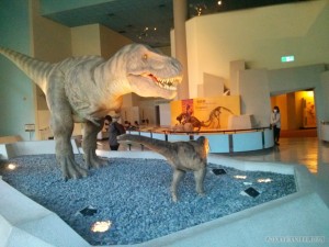 Museum of Natural History dinosaur
