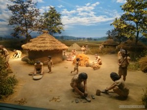 Museum of Natural History early humans 2
