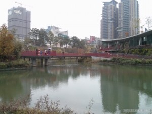 Taichung - bear park 1