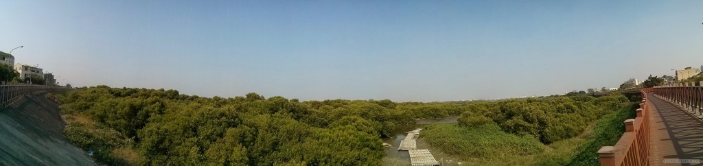 Tainan - panorama tree house 1