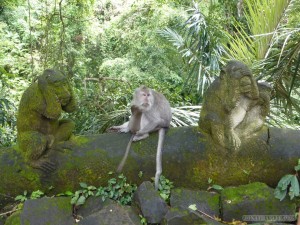 Ubud - monkey speak no evil