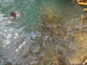 Vang Vieng - Blue Lagoon fish 1