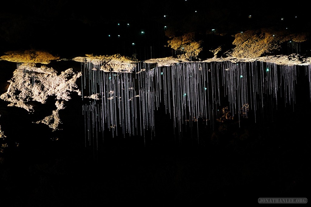 Waitomo Glowworm Caves - glowworm lines of Footwhistle cave, Caveworld