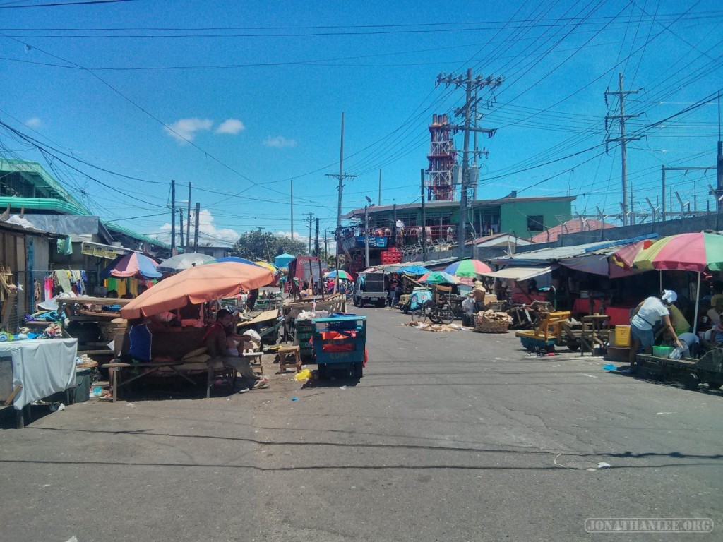 Cebu - Carbon market 1 - Jonathan Lee